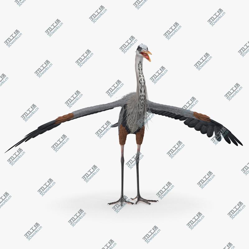 images/goods_img/2021040231/Great Blue Heron 3D/1.jpg